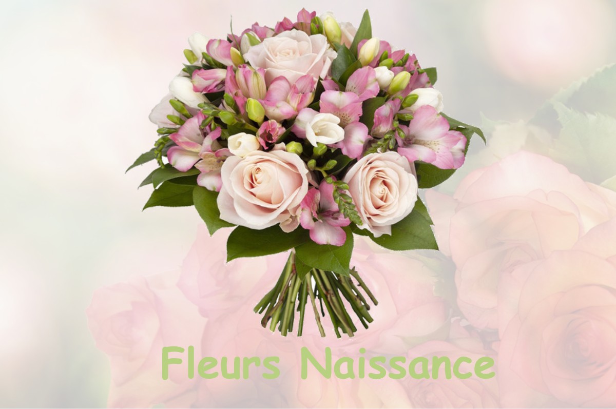 fleurs naissance PLAN