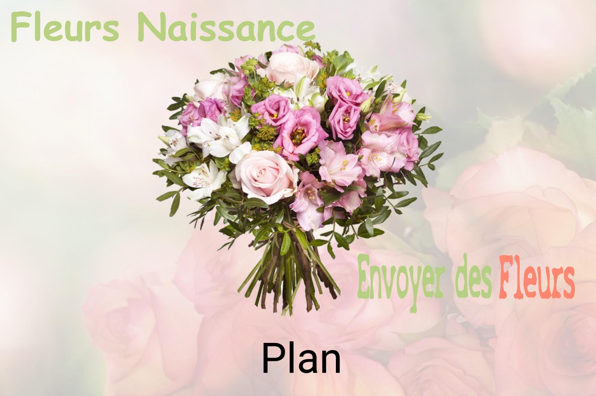 Bouquet de fleurs de naissance livré à Plan