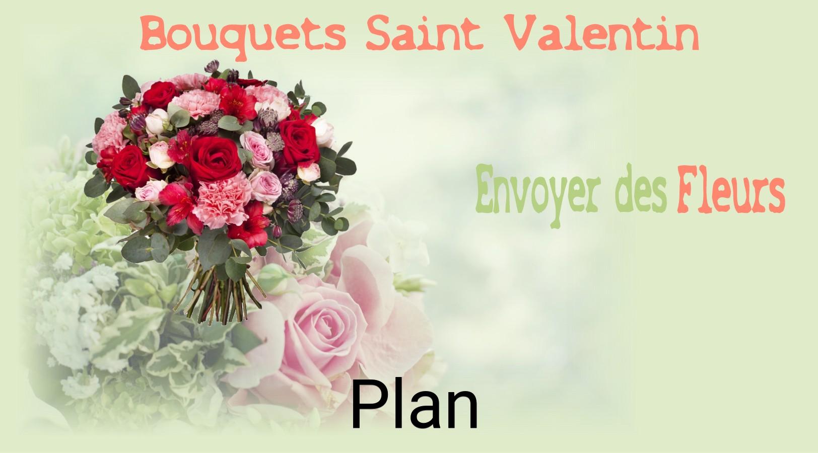 Roses de Saint-Valentin livrées à Plan