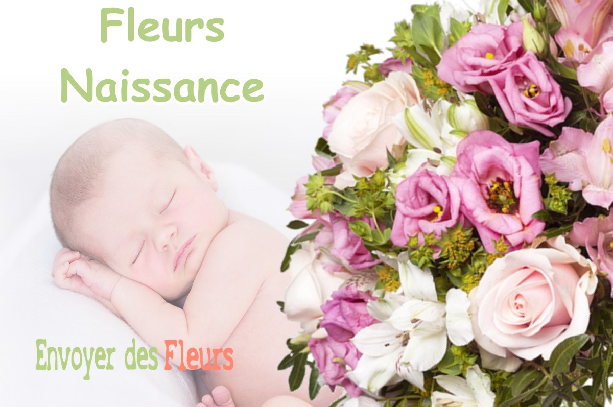 lIVRAISON FLEURS NAISSANCE à PLAN