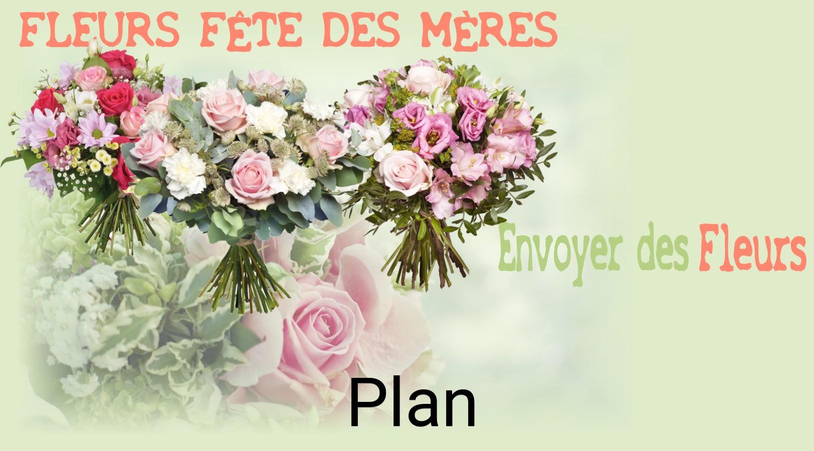 Bouquet de Fête des Mères livré à Plan